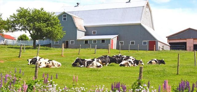 Rural-and-northan