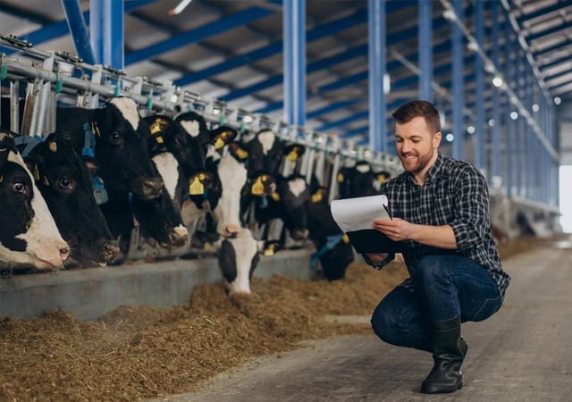 Rural and Northern immigration